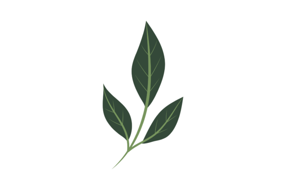 Floral Green Leaf: A Designer’s Real-World Embroidery Review