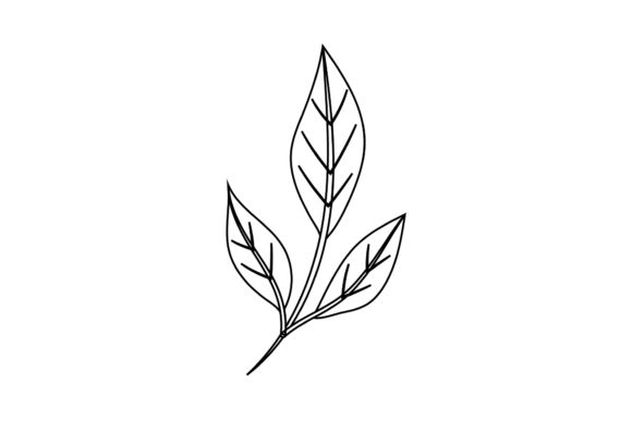 Floral Green Leaf Outline