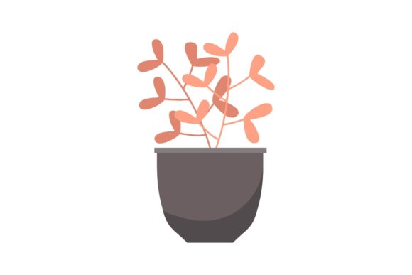 Ornamental Plants Illustration