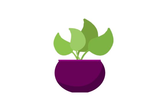 Simple Ornamental Plants